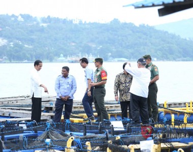 Panen Raya Ikan Hasil Penebaran Presiden RI di Ambon