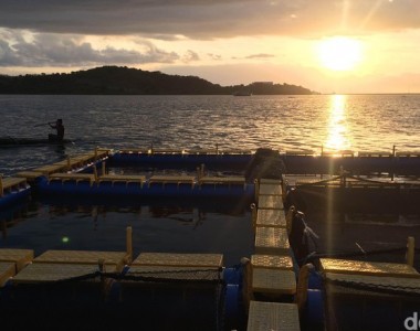 Mengenal Resto Apung Pulau Bungin, Tempat Bermukim Anak Suku Bajo