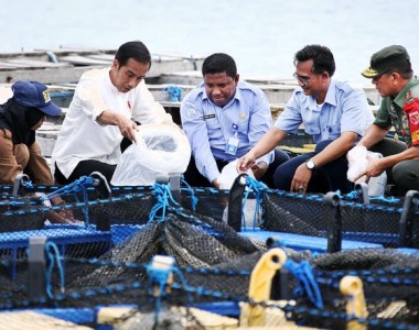 Blue Gold, Green Gold help maintain peace