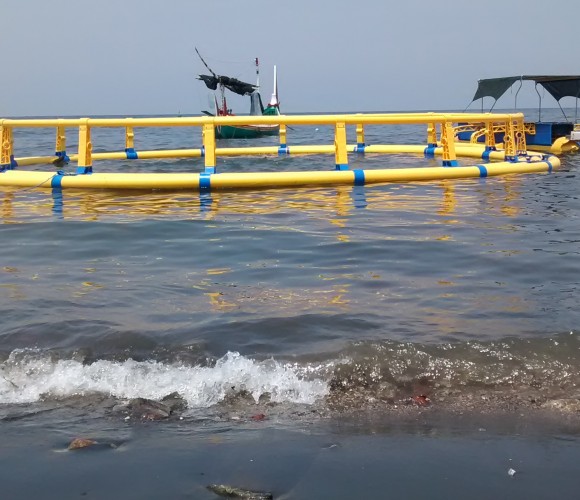 Peran BPBAP Situbondo Menciptakan Kerapu Hybrid 