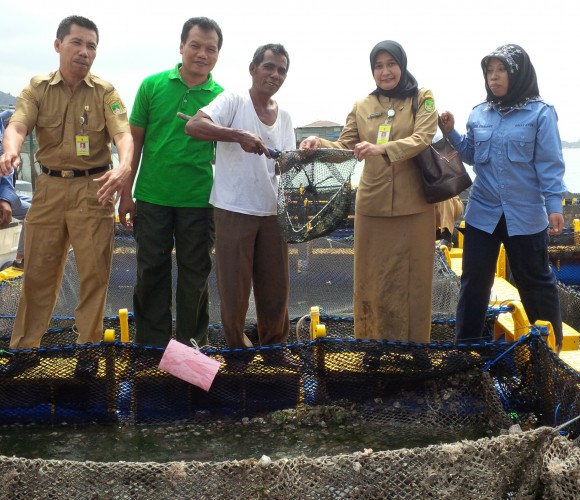 Peran BBL Batam Dalam Pencegahan Virus Viral Nervous Necrosis (VNN) Pada Ikan Kerapu
