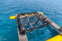 IPB University Terima Satu Unit Submersible Cage dari PT Gani Arta Dwitunggal