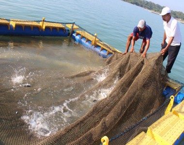 Garap Perikanan dan Wisata Bahari Tanjung Lesung Bersama Aquatec