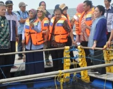 BBPBL Lampung: Kembangkan Potensi Perikanan dengan Teknologi Keramba Modern